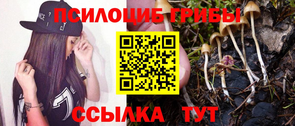 Галлюциногенные грибы Cubensis  Вход с VPN  магазин    Алушта 